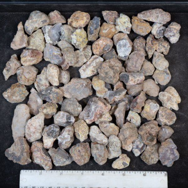 Laguna Agate Nodules