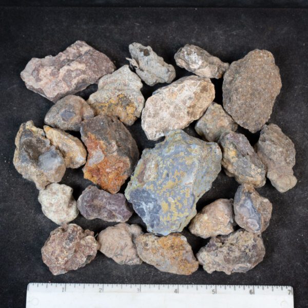 Laguna Agate Nodules