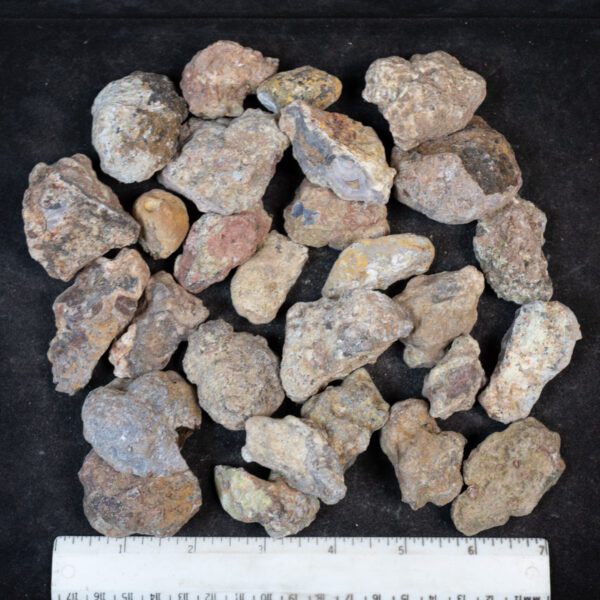 Laguna Agate Nodules