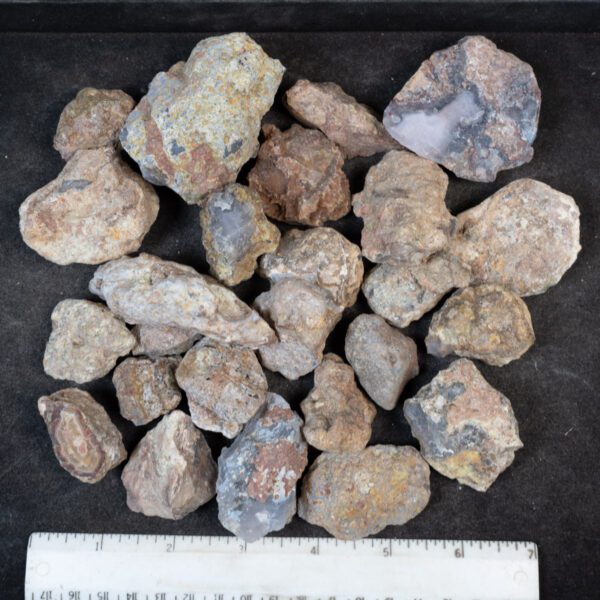 Laguna Agate Nodules