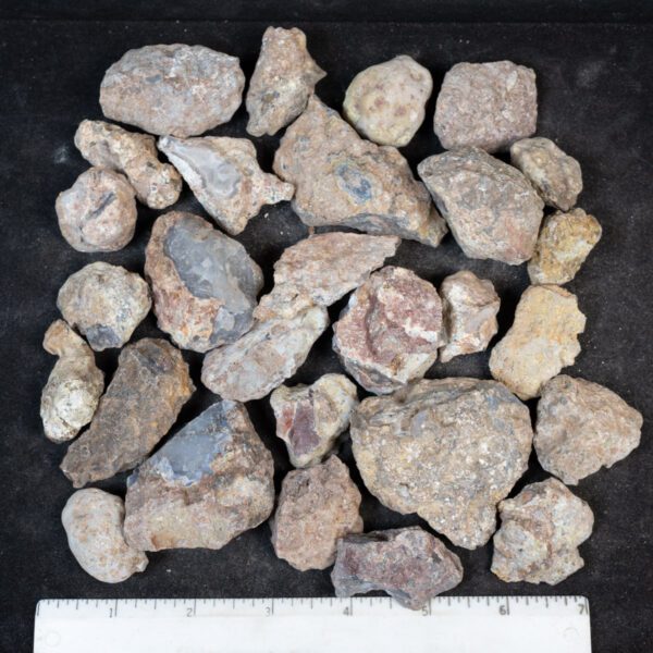 Laguna Agate Nodules