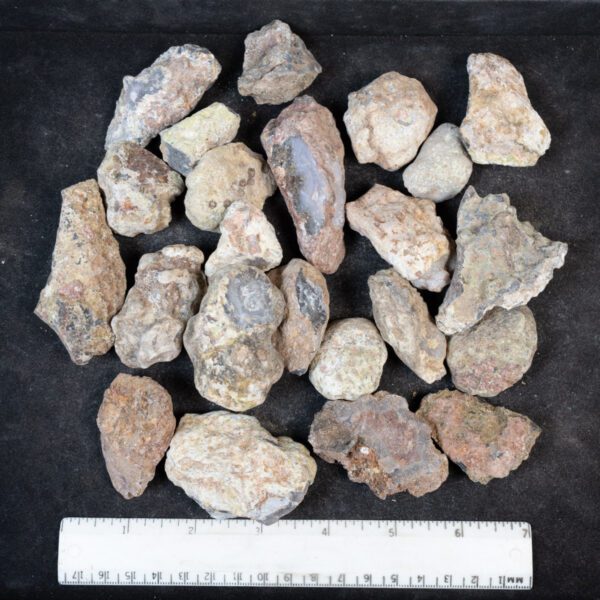 Laguna Agate Nodules