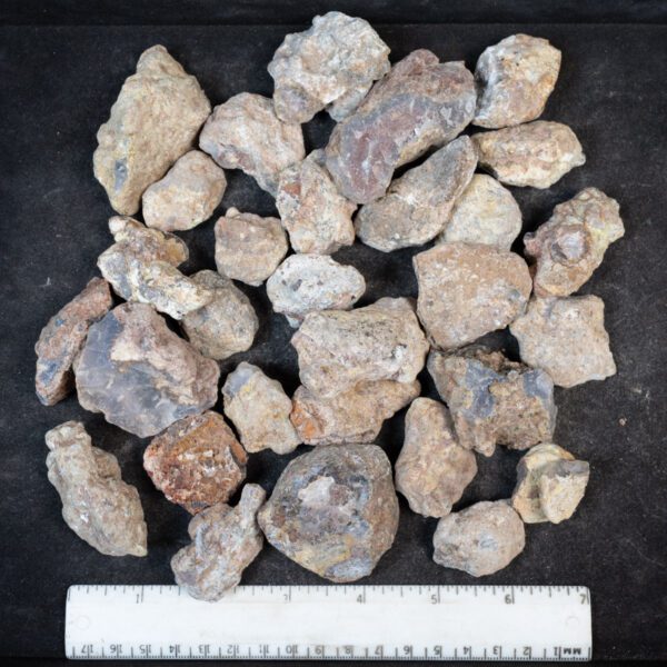 Laguna Agate Nodules