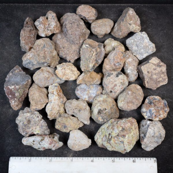 Laguna Agate Nodules