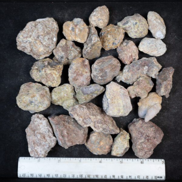 Laguna Agate Nodules