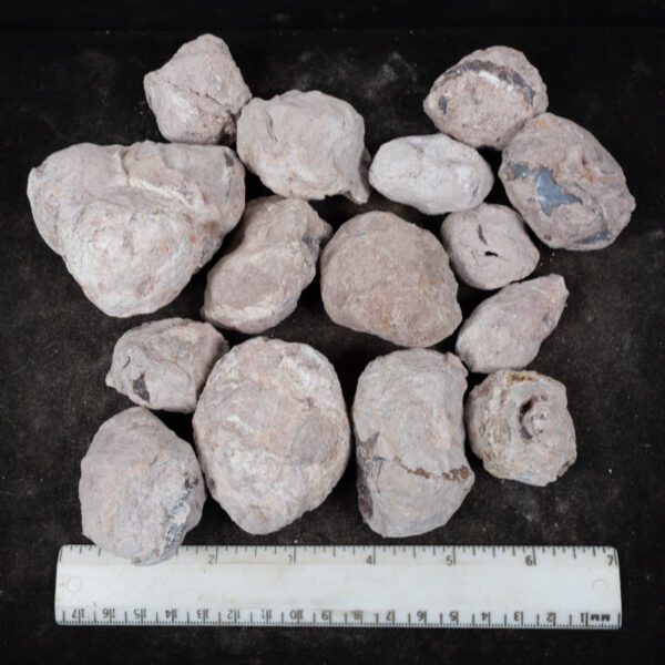 Laguna-like Thunderegg Nodules