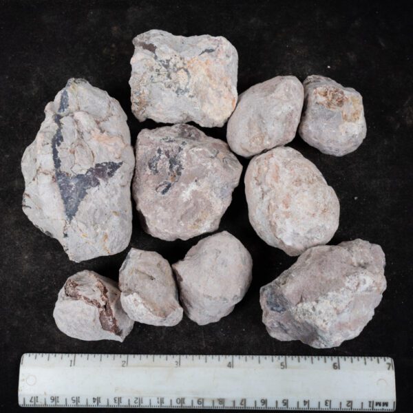 Laguna-like Thunderegg Nodules
