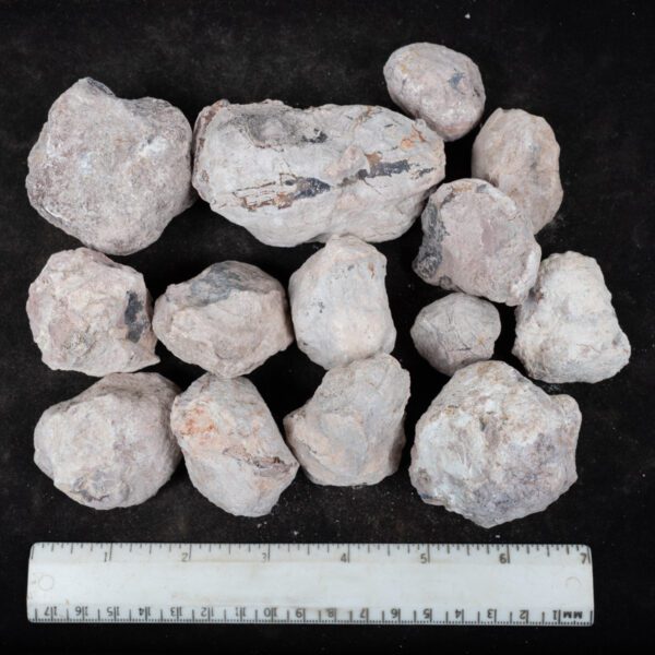 Laguna-like Thunderegg Nodules