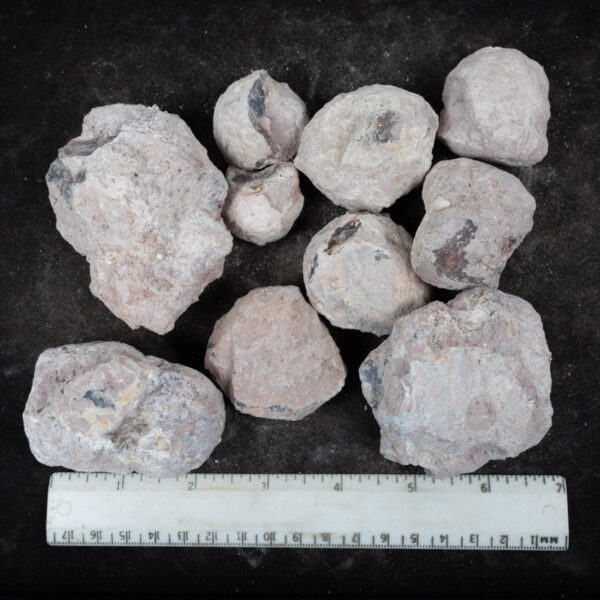 Laguna-like Thunderegg Nodules