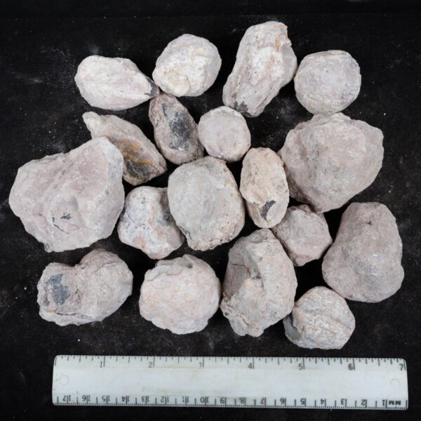 Laguna-like Thunderegg Nodules