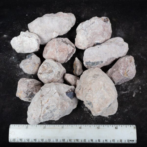 Laguna-like Thunderegg Nodules