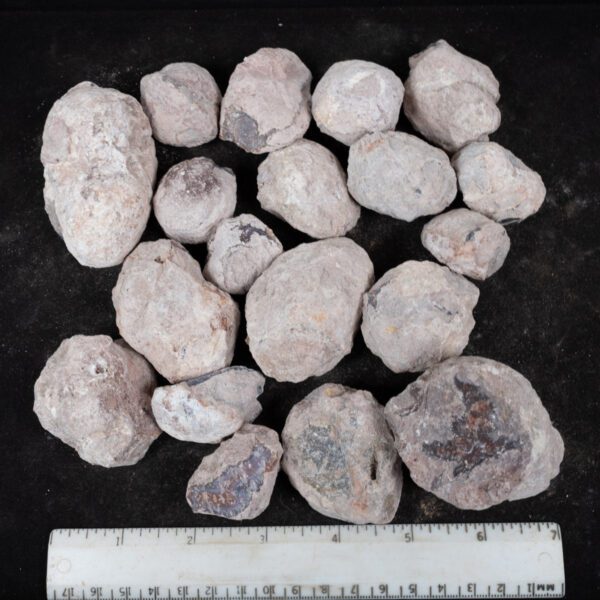 Laguna-like Thunderegg Nodules