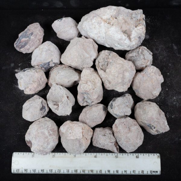Laguna-like Thunderegg Nodules