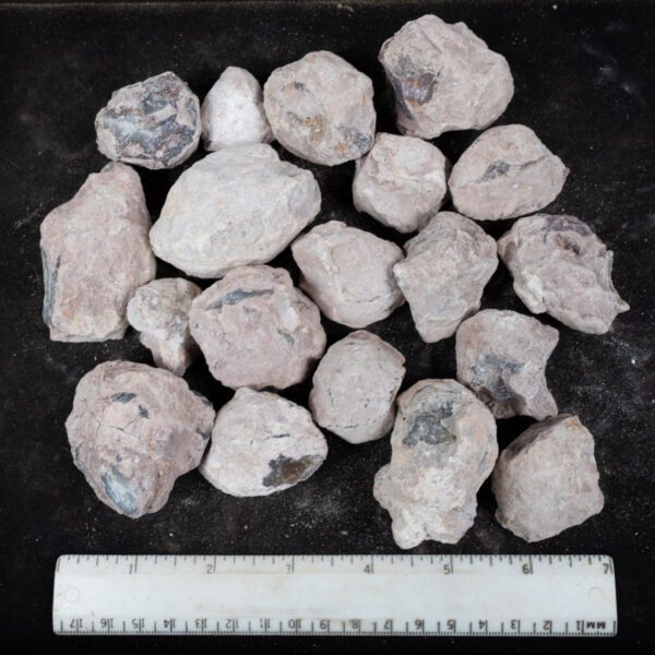 Laguna-like Thunderegg Nodules