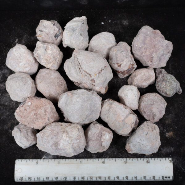 Laguna-like Thunderegg Nodules