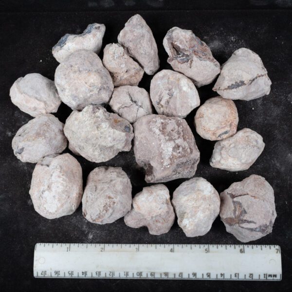 Laguna-like Thunderegg Nodules