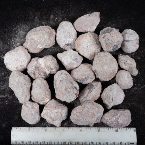 Laguna-like Thunderegg Nodules