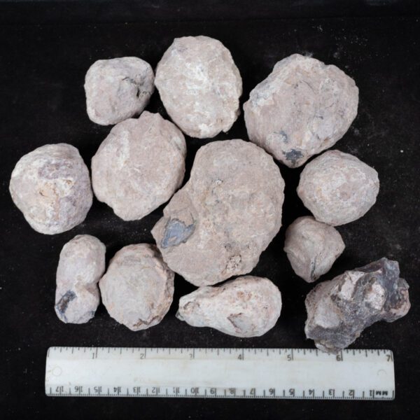 Laguna-like Thunderegg Nodules
