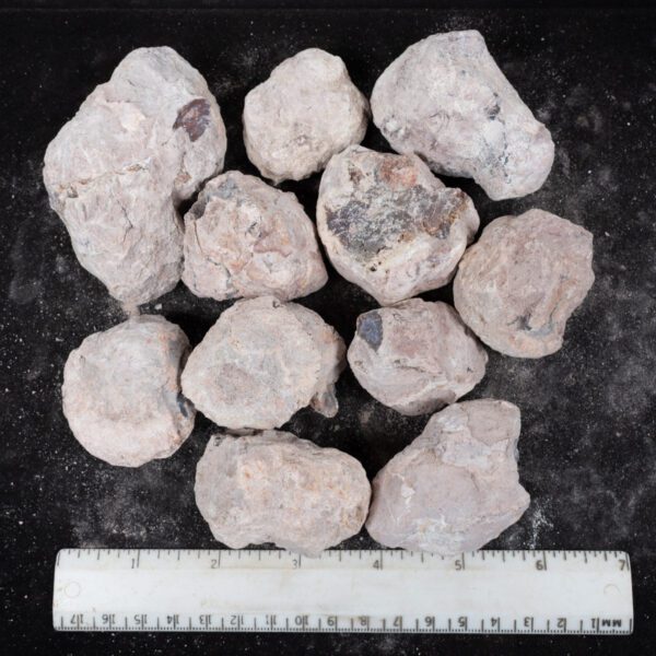 Laguna-like Thunderegg Nodules