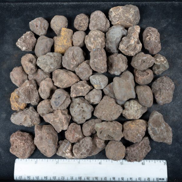 Malawi Agate Nodules