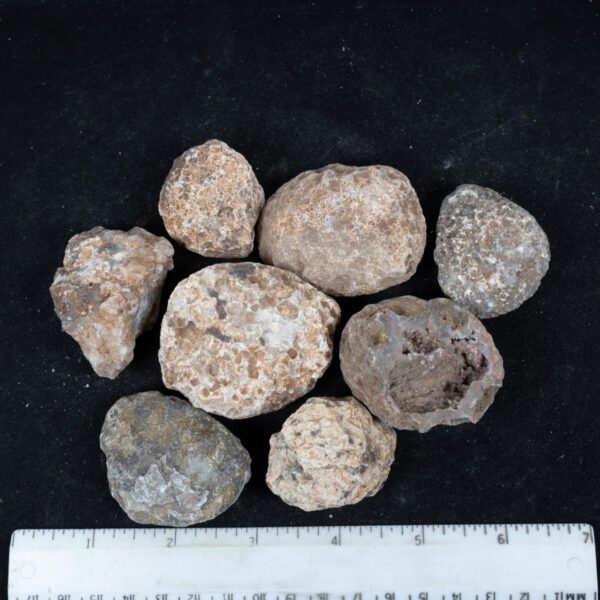 Moctezuma Agate Nodules