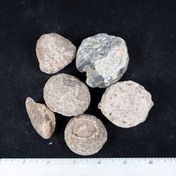 Moctezuma Agate Nodules