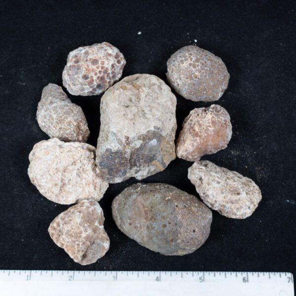 Moctezuma Agate Nodules