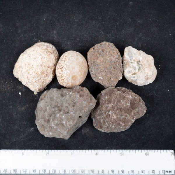Moctezuma Agate Nodules