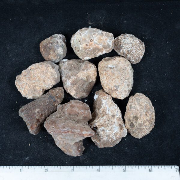 Moctezuma Agate Nodules