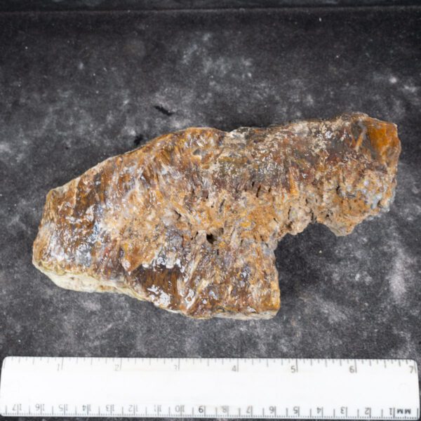 Sagenite Plume Rough