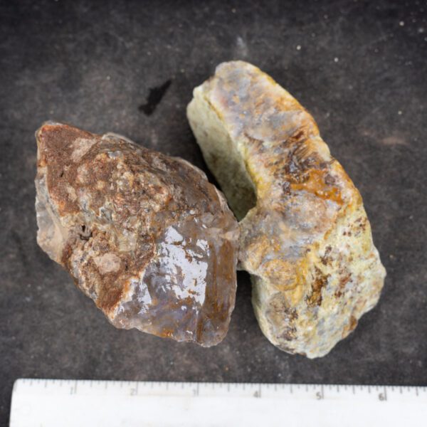 Sagenite Plume Rough
