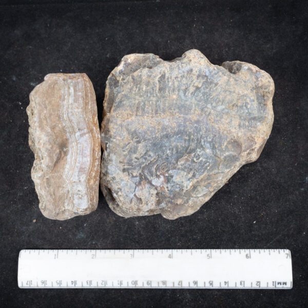 South African Agate Rough