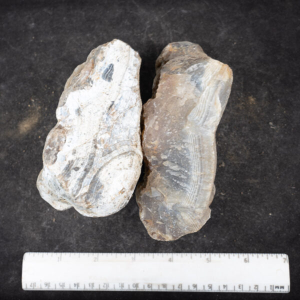 South African Agate Rough