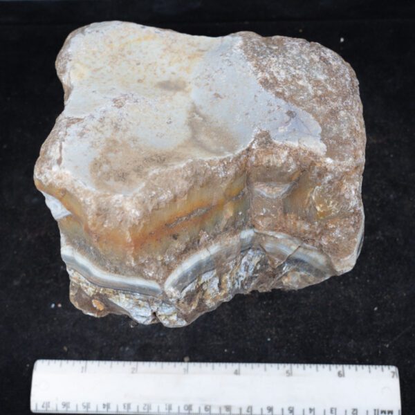 South African Agate Rough