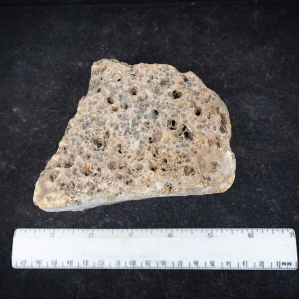 South African Agate Rough
