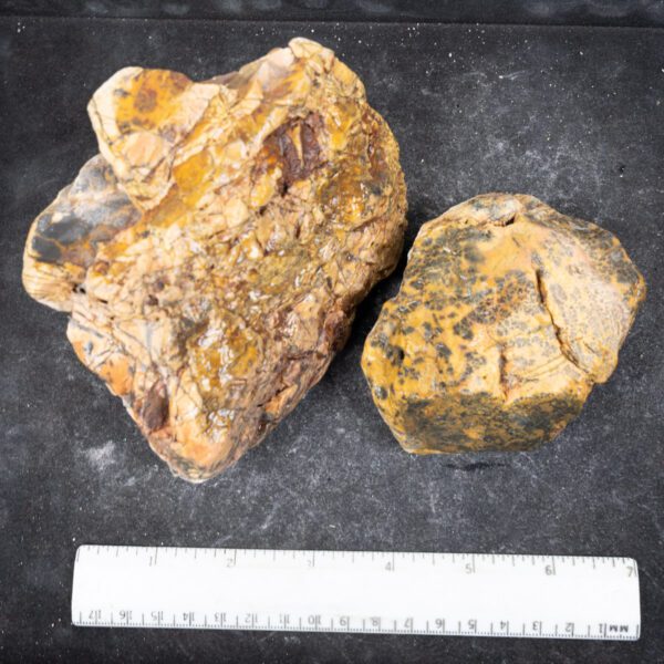 Yellow Feather Jasper Rough