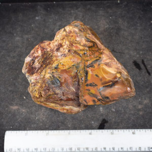 Yellow Feather Jasper Rough