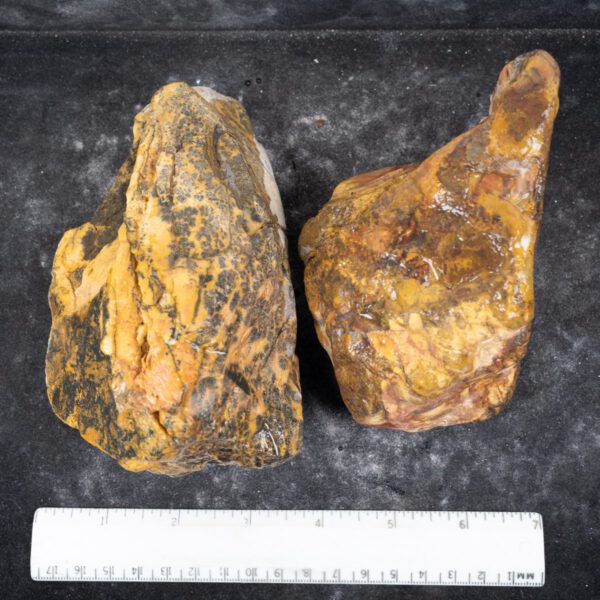 Yellow Feather Jasper Rough