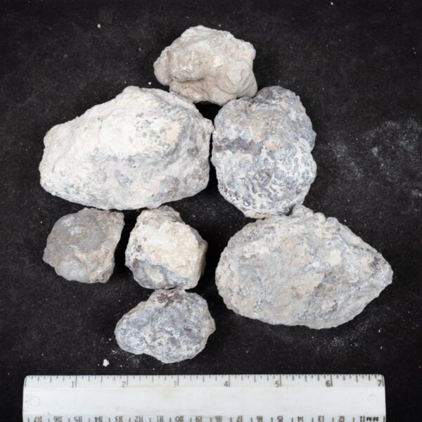 Baker Ranch Agate Nodules