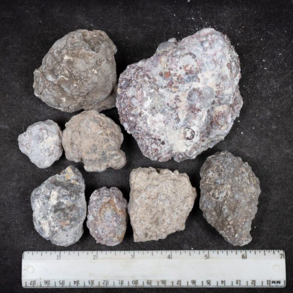 Baker Ranch Agate Nodules