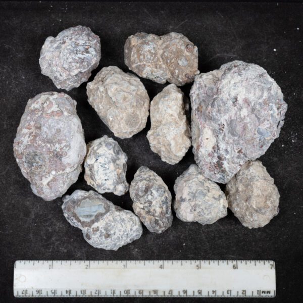 Baker Ranch Agate Nodules