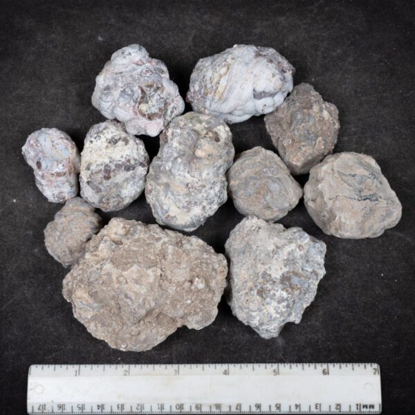 Baker Ranch Agate Nodules