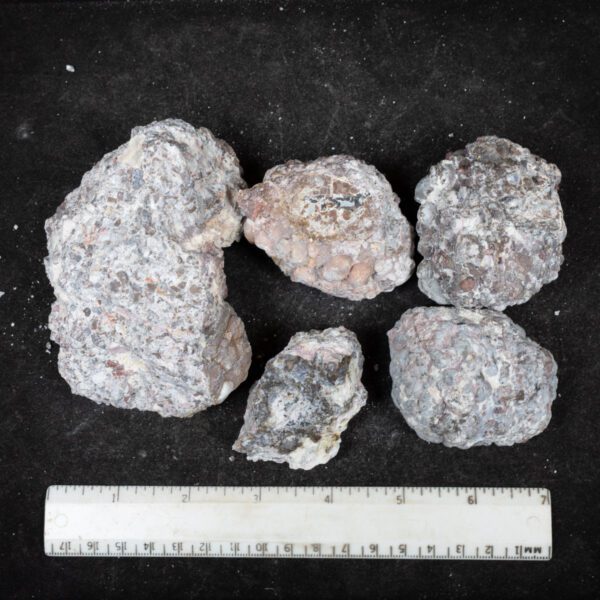 Baker Ranch Agate Nodules
