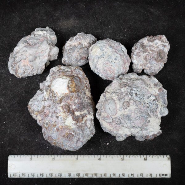 Baker Ranch Agate Nodules
