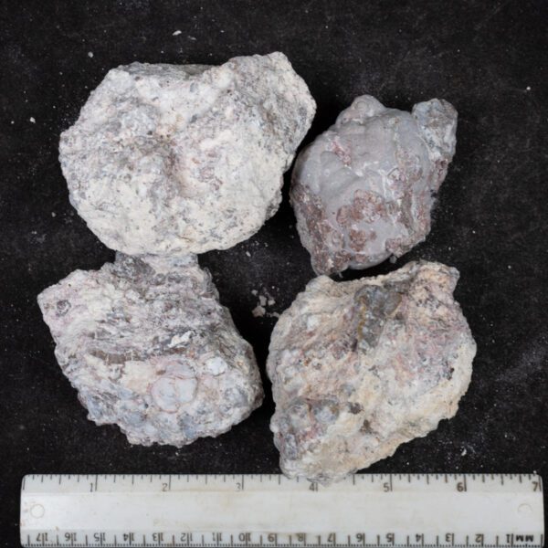 Baker Ranch Agate Nodules