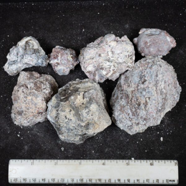 Baker Ranch Agate Nodules