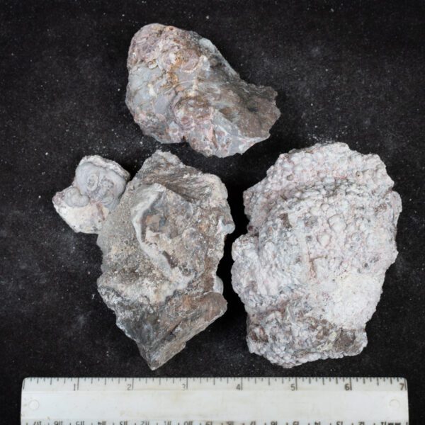 Baker Ranch Agate Nodules