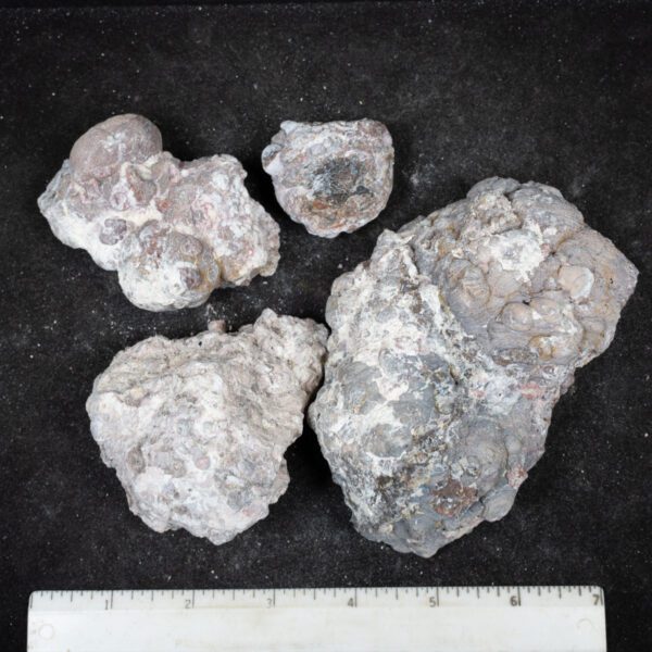 Baker Ranch Agate Nodules