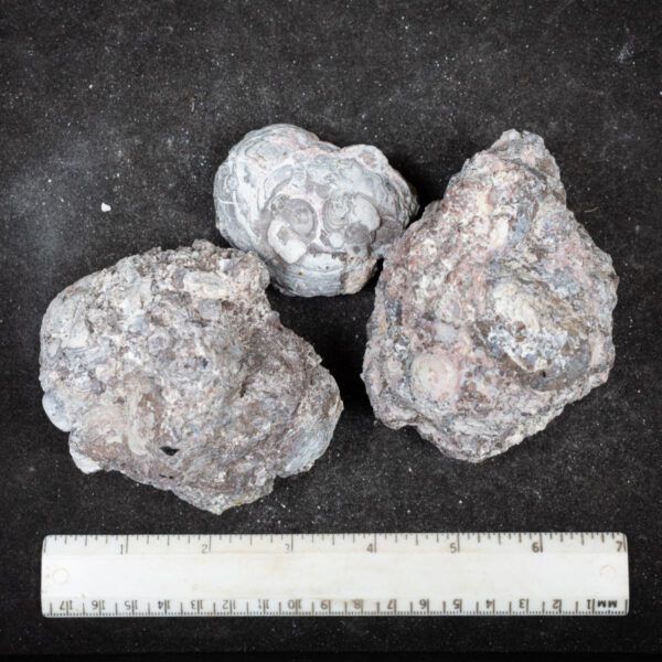 Baker Ranch Agate Nodules