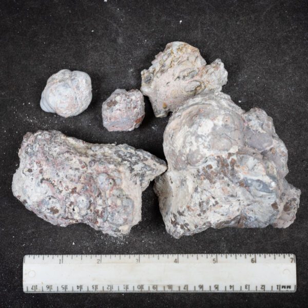 Baker Ranch Agate Nodules